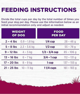 Wellness Complete Health Dry Dog Food, Small Breed, Grain Free, Natural, Turkey, Chicken, & Salmon Recipe (11-Pound Bag)