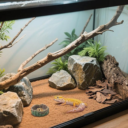 Reptile Water Dish Hermit Crab Food Bowl Small for Tank Feeding 2 Pack