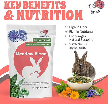 Snout and Shell 2oz Meadow Blend – Natural Foraging Treat for Rabbits, Guinea Pigs & Chinchillas – High-Fiber Supplement