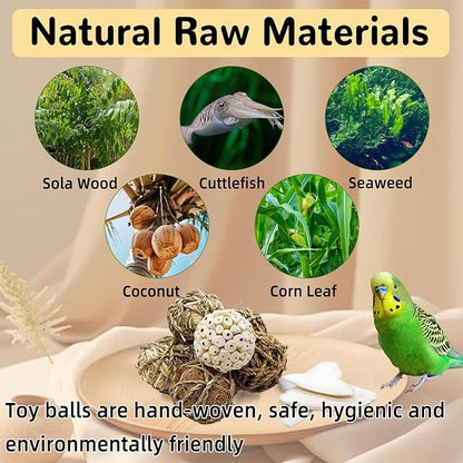 Bird Toys Sola Balls Parakeet Toys Soft Natural Chew Grass Balls with Cuttlebone for Parrots Conures Rabbits Hamster Guinea Pig Chinchilla (Style 1, 10 PCS)