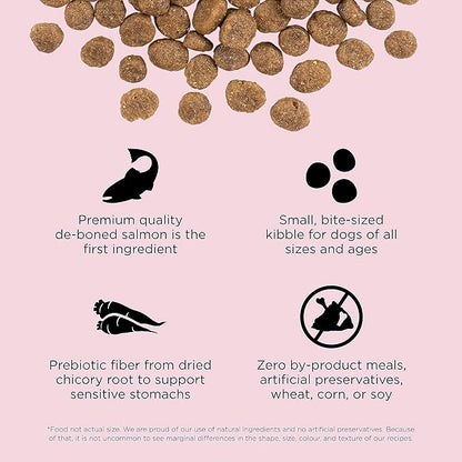 Go! Solutions Sensitivities Limited Ingredients, Grain-Free Dry Dog Food, Small Bites Salmon Recipe for Sensitive Stomach, 22 lb Bag