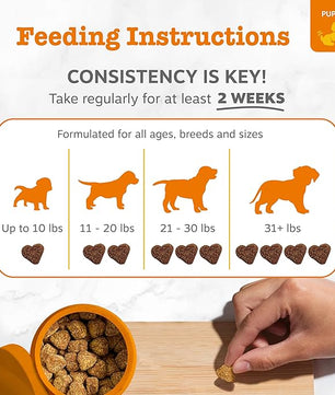 Zesty Paws Puppy Probiotics for Dogs - for Digestive Health, Gut Flora & Immune System Support - Dog Probiotics for Puppies with Bacillus subtilis & Pumpkin - 90 Count