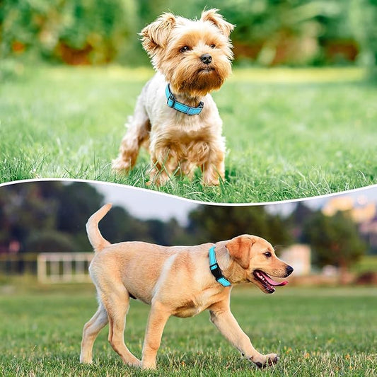 Reflective Dog Collar Padded with Soft Neoprene Breathable Quick Release Basic Dog Collars for Puppy Small Dogs Sky Blue