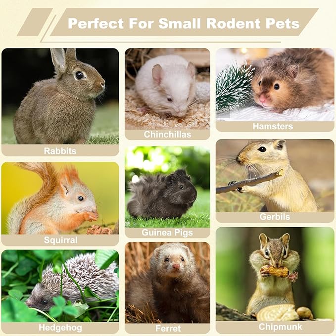 900g Apple Sticks Wood Chew Sticks Toys for Rabbits Chinchillas Guinea Pigs Hamsters Bunny Molar Chew Treats Toys for Teeth, Small Animals Snacks