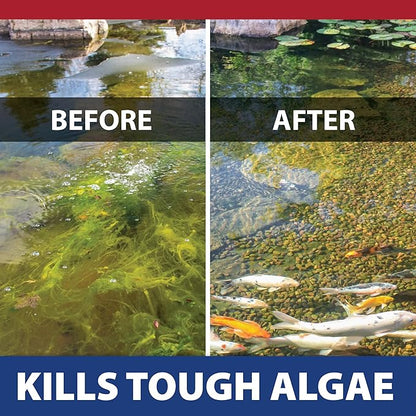 The Pond Guy InstaFix Algae Control, Outdoor Water Garden, Fountain & Birdbath Algae Solution, EPA Registered Liquid Algaecide, Control Green Water & String Algae, Bird, Fish & Pet Safe, 16 Ounce