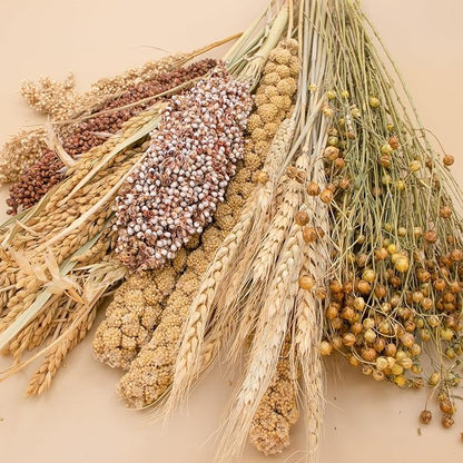 Natural Ear of Grain Flower&Herb Bedding Mate Habitat Decor, Adding Fun Hamster Accessories for Hamsters Gerbils Lemming