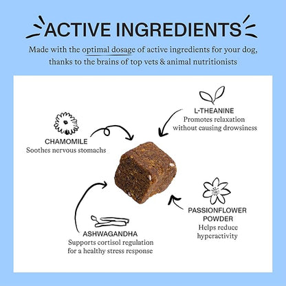 Spot & Tango Calming Supplements for Dogs - Vet-Approved for Anxiety and Stress Relief - L-Theanine, Passionflower, Ashwagandha, Chamomile - Flavored with Real Pineapple, 56 Count