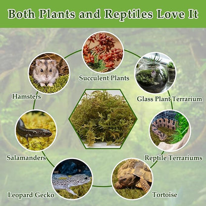 Halatool 2.2LB Natural Sphagnum Moss for Reptiles- 50QT Green Moss for Terrarium Plants Long Fiber Reptile Moss for Leopard Gecko Snake Hamsters Tortoises Frogs Lizards Salamanders