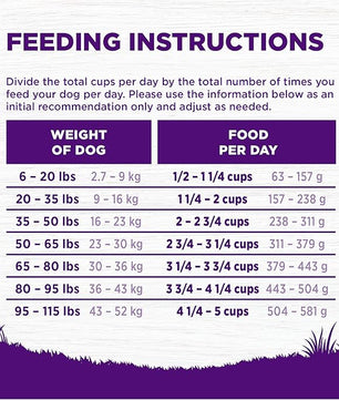 Wellness Complete Health Dry Dog Food, Wholesome Grains, Natural, Lamb & Barley Recipe, (26-Pound Bag)