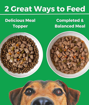 KOHA Pike Place Platter Stew for Dogs with Beef and Salmon, High Protein Wet Dog Food, 12.7oz Cans (Case of 12)