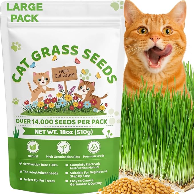 18oz Large Pack Cat Grass Seeds Bulk - Over 14000+ Premium Cat Grass for Indoor Cats & Pets, High Germination Rate & Easy to Grow, Non-GMO Wheat Grass Seed for Planting(510g)