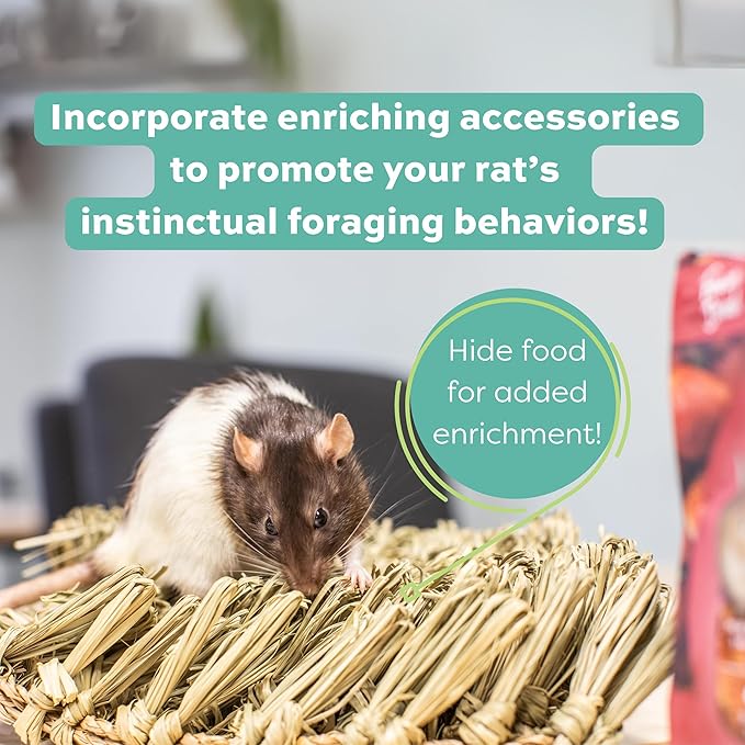 Oxbow Essentials Rat Food, Pet Food for Adult Rats, All-Natural Vitamin & Mineral Rich Formula, Veterinarian Recommended, Oxbow Animal Health, Rodent Pellets, Made in USA, No Artificials, 3 lb. Bag