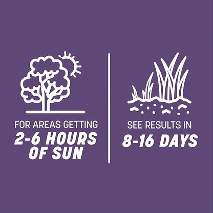 Pennington Smart Seed Dense Shade Grass Mix Bag 7 lb