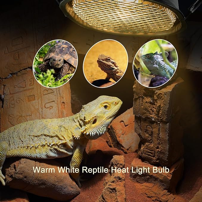 G9 Reptile Heat Lamp Bulb and Light Fixture with Safety Mesh, G9 Mini Heat Bulb 50W Warm White, UVA Reptile Heat Lamp and Basking Lampshade for Bearded Dragon Gecko Turtle Lizard Snake