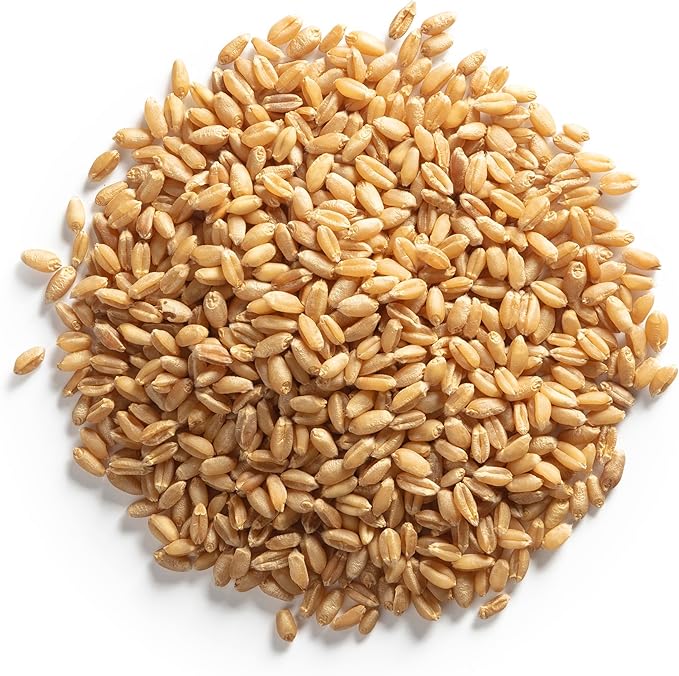 Cat Grass Kit for Indoor Cats – x2 Seed Packets | Cat Grass Seeds with Wooden Planter & Soil – Pet-Safe Wheatgrass Grass