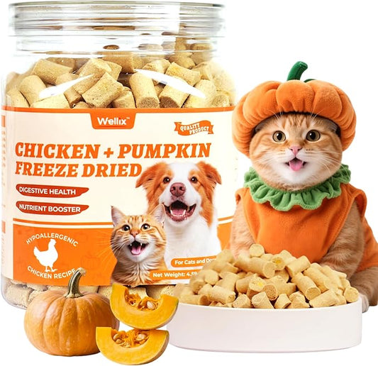 Wellix Chicken & Pumpkin Raw Treat – Freeze Dried Chicken Snacks, Pet Food Topper, Grain Free, Crunchy Cat Treats for Indoor Cats - for Small, Medium & Large Cats & Dogs