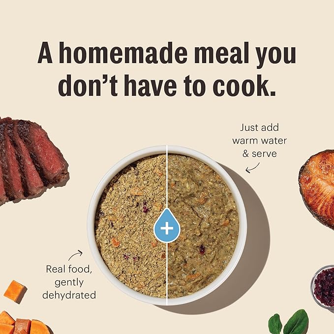 The Honest Kitchen Human Grade Wholemade™ Dehydrated Grain Free Turkey Dog Food - Complete & Balanced Meal or Topper 4 lb Box