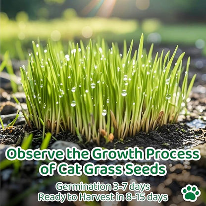 18oz Large Pack Cat Grass Seeds Bulk - Over 14000+ Premium Cat Grass for Indoor Cats & Pets, High Germination Rate & Easy to Grow, Non-GMO Wheat Grass Seed for Planting(510g)