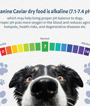 Canine Caviar - Wild Ocean: Herring & Teff Alkaline Dry Dog Food, Limited Ingredients, Gluten-Free, Based on Science & Research, Veterinary Alternative Diet (22 Pound Bag)