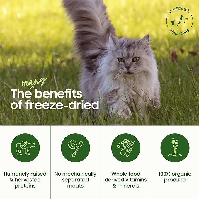 smallbatch Freeze-Dried Raw Cat Food, Shelf Stable Food Bites, Beef Recipe, High Protein Meal or Topper for Cats, Humanely Raised Meat, Organic, Non-GMO Produce, Made in The USA, 10oz Bag