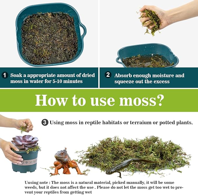Sukh Sphagnum Moss for Reptiles -Terrarium Moss for Reptiles Peat Moss for Reptiles Habitat Bedding Moss for Snakes Turtle Frog Gecko and Other Reptiles Substrate (11.2, Ounces)