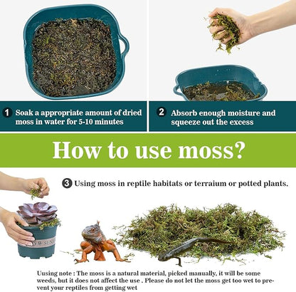 Sukh Sphagnum Moss for Reptiles -Terrarium Moss for Reptiles Peat Moss for Reptiles Habitat Bedding Moss for Snakes Turtle Frog Gecko and Other Reptiles Substrate (11.2, Ounces)
