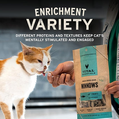 Vital Essentials Minnows Cat Treats, 0.5 oz | Freeze-Dried Raw | Single Ingredient | Grain Free, Gluten Free, Filler Free