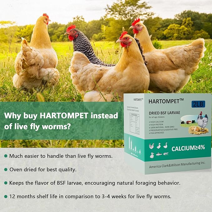 HARTOMPET Better Than Dried Mealworms for Chickens 2 lbs - 85X More Calcium Than Meal Worms - Non-GMO Chicken Feed Additive & Molting Supplement - BSFL Treats for Hens, Ducks, Wild Birds