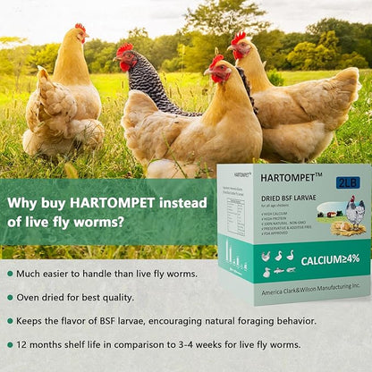 HARTOMPET Better Than Dried Mealworms for Chickens 2 lbs - 85X More Calcium Than Meal Worms - Non-GMO Chicken Feed Additive & Molting Supplement - BSFL Treats for Hens, Ducks, Wild Birds