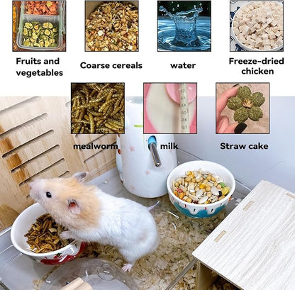 2 Pack Hamster Food Bowl Small Animals Ceramic Food Water Bowl Rat Bowls Prevent Tipping Moving for Gerbil Chinchilla Hedgehog (Color: Red + Blue)