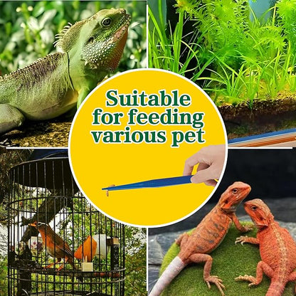 4-Pack Reptile Feeding Tongs Set - Hygienic Anti-Slip Blue Tweezers for Bearded Dragons, Lizards, Snakes, Aquariums & Small Animals（Three colors to choose from, 18cm）