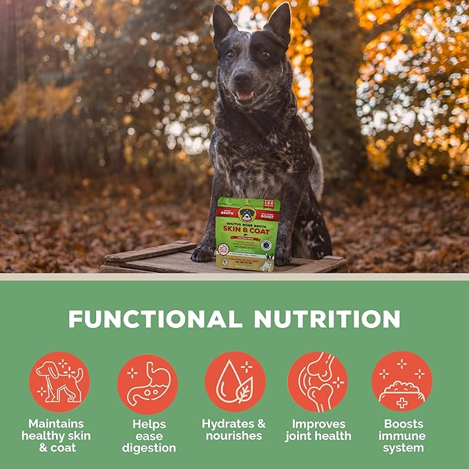 Brutus Broth Skin and Coat Meal Toppers for Dogs Mega Pack (Salmon Flavor) - Vegetable Broth Powder with Omegas 3, 6 & 9 - Dog Food Toppers for Dry Food - Makes 130oz of Liquid Bone Broth