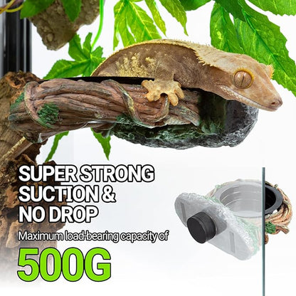 REPTI ZOO Magnetic Crested Gecko Feeding Ledge, Reptile Feeder Ledge with 2PCS Cups, Reptile Water Bowl for Bearded Dragon Lizard Snake, Hollow Vine Food Dish Tank Accessories