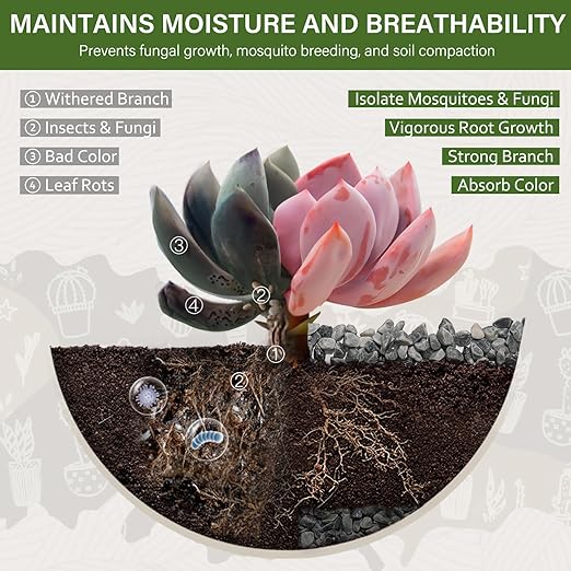 NUPICK 3 lbs Pebbles for Indoor Plants, 1/5 Inch Pea Gravel for Fish Tank, Decorative Rocks for Succulent, Natural River Stones for Vases, Cactus, Landscaping, Bird Bath, Aquarium, Grey