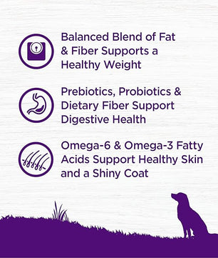Wellness Complete Health Dry Dog Food, Wholesome Grains, Natural, Healthy Weight Chicken & Peas Recipe, (24-Pound Bag)