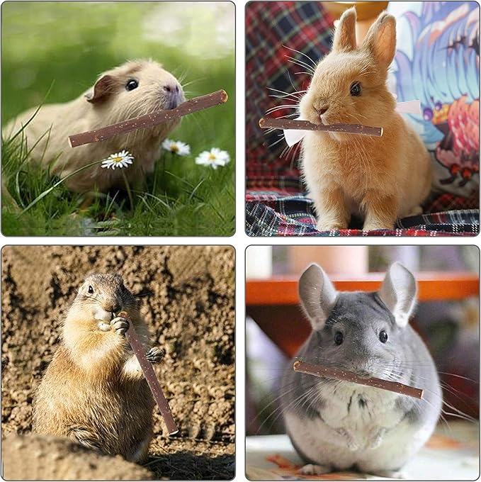 600g Apple Sticks Molar Wood Treats, Rabbit Toys Chinchilla Guinea Pig Bunny Toys Wood Chews Sticks for Teeth Rabbit Food Guinea Pig Hamster Gerbil Chews Small Animals Snacks(150 Pcs)