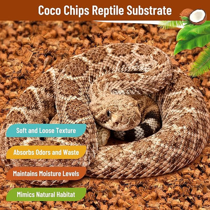 Riare 6 Pack Natural Coconut Chip Substrate for Reptiles- Compressed Coconut Husk Reptiles Bedding, Coco Husk Chip Terrarium Substrate for Snakes, Tortoises, Ball Python, Frogs, Bearded Dragon, Lizard