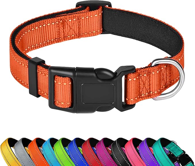 Reflective Dog Collar, Adjustable Soft Neoprene Padded Nylon Pet Collars with Buckle for Small Dogs, Orange,S