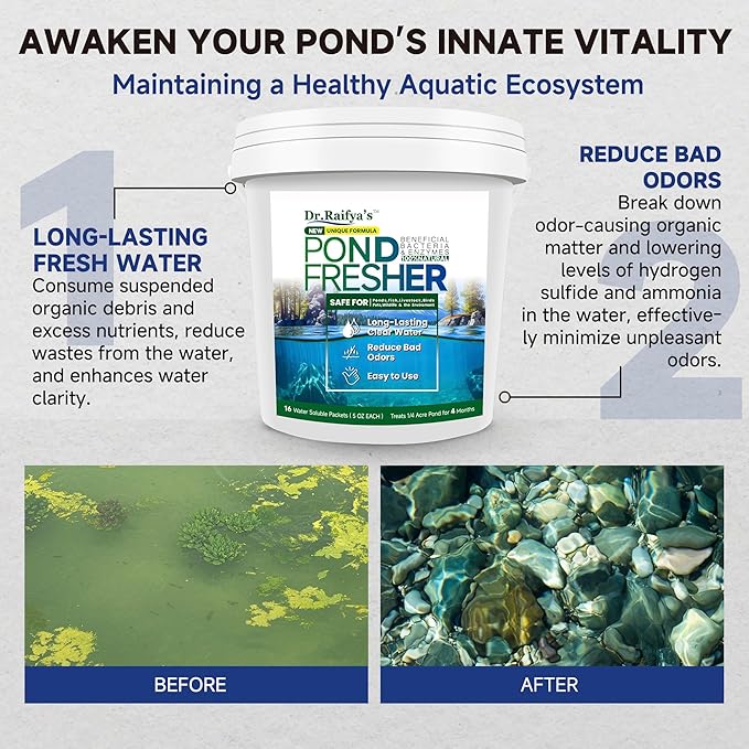 Dr. Raifya's Pond Fresher - 16 Packets - Pond Water Treatment for Outdoor Areas, Long-Lasting Clean Water & Odor with Beneficial Bacteria, Easy to Use, Fish, Pets & Plants Safe