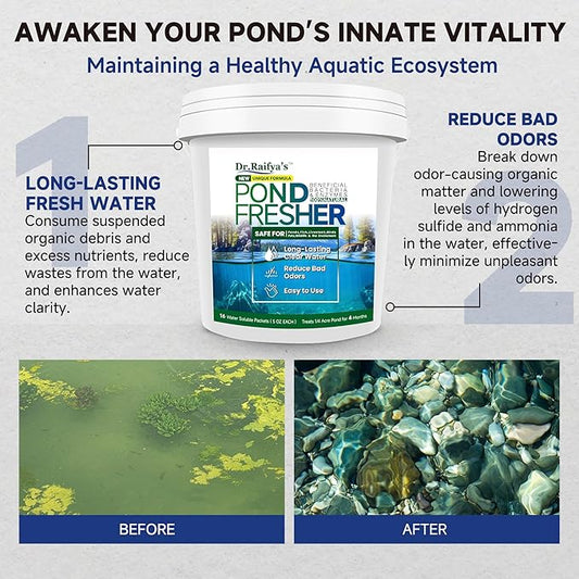 Dr. Raifya's Pond Fresher - 16 Packets - Pond Water Treatment for Outdoor Areas, Long-Lasting Clean Water & Odor with Beneficial Bacteria, Easy to Use, Fish, Pets & Plants Safe