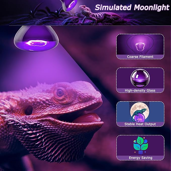 60W Reptile Night Light Bulb – 2.5" Small Purple Moonlight UVA Heat Lamp for Bearded Dragons, Lizards, Snakes, Chameleons, Amphibians, Turtles – Indoor Terrarium Basking Lamp, 2-Pack