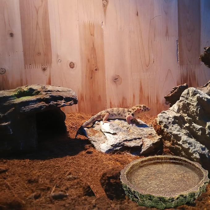 2 Pack Small Reptile Food Bowls, Reptile Feeding Terrarium Bowls for Bearded Dragon Lizard Frog Gecko Tortoise Hermit Crab Snail (Brown B)