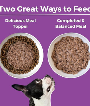 KOHA Limited Ingredient Diet Kangaroo Entrée for Dogs - Grain Free Wet Dog Food with No Fillers - Sesnsitive Stomach Kangaroo Dog Food - 13 oz Pack of 12