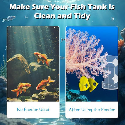 Round Fish Tank Feed Tray with Scale and Suction Cup, Feeding Tube Supplies, Tank Divider Supplies, Breeder Box for Aquarium, Round Aquariums & Fish Bowls Accessories