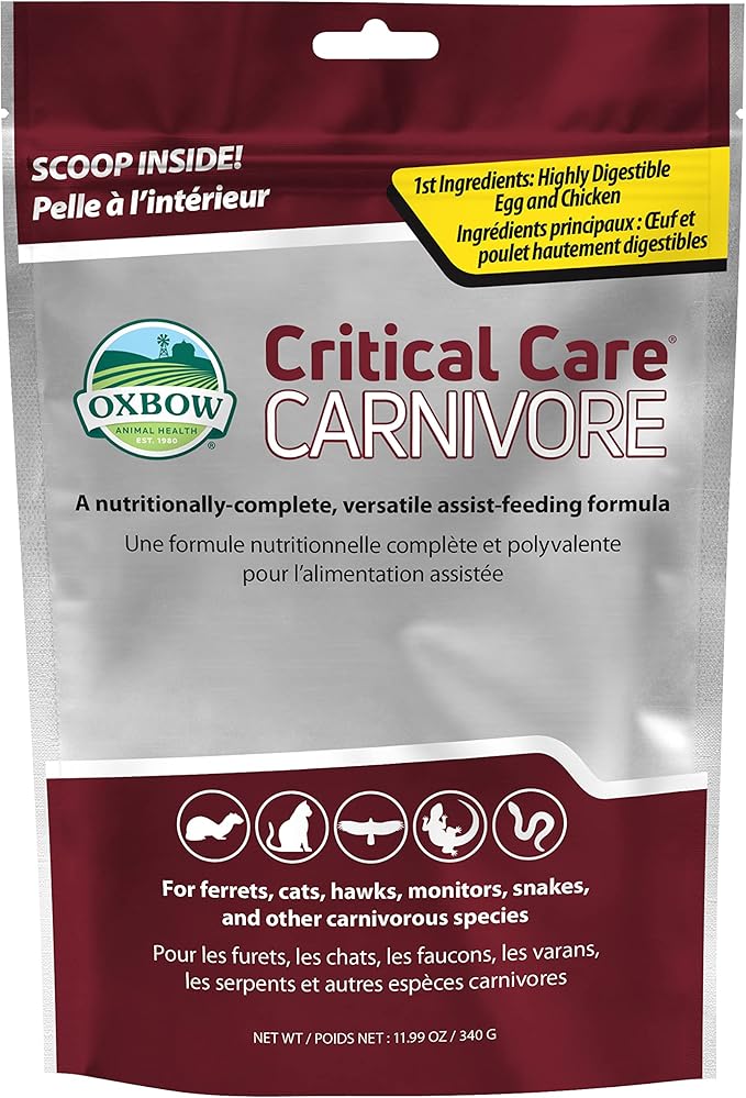 Oxbow Critical Care Carnivore, Made with Whole Egg & Dried Chicken, Assist Feeding Formula for Carnivores, Cat Supplements, Ferret Food Recovery, Small Animal Pet Products, Made in USA, 340 Gram Bag