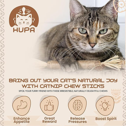 HUPA Catnip Silvervine Sticks | Anxiety Relief & Kitten Teeth Cleaning, Natural Silvervine with Raffia Grass for Healthy Teeth & Digestion | for Indoor Cats, All Ages & Breeds | 2 Sticks