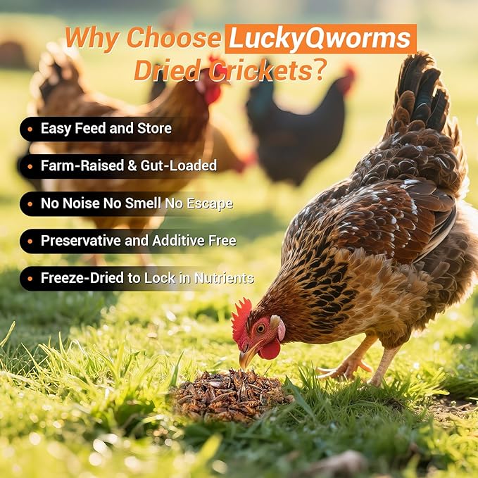 Dried Crickets 1 lb for Chickens, Wild Birds, Hedgehogs, Reptiles, Lizards, Bearded Dragons, Fish, Turtles - High Protein Natural Insect Food Resealable Bag