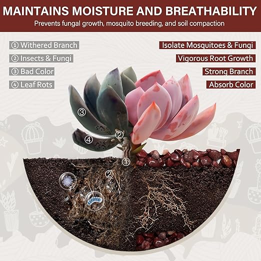 NUPICK 3 lbs Pebbles for Indoor Plants, 3/8 Inch Pea Gravel for Fish Tank, Polished Decorative Rocks for Succulent, Natural River Stones for Vases, Cactus, Landscaping, Bird Bath, Aquarium, Red