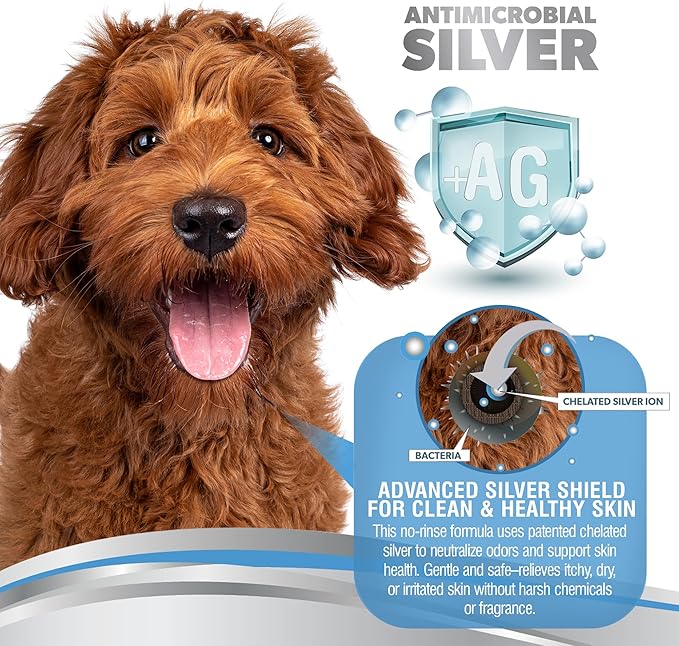 PetSilver Waterless Dog Shampoo - No Rinse Bath & Dry Shampoo for Dogs - Odor Control for Smelly Coats - Cleans, Conditions & Moisturizes - Hypoallergenic & Fragrance-Free - Patented Silver - 5 fl oz