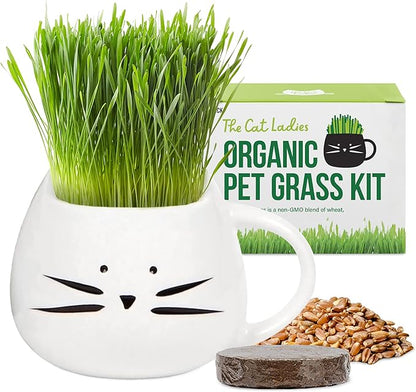 The Cat Ladies Organic Cat Grass for Indoor Cats - Growing Kit with Organic Seed Mix, Soil and White Cat Planter. Natural Hairball Control and Digestion Remedy, Cat Gifts